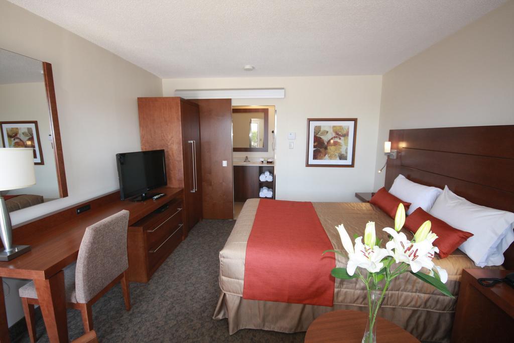 Adam Motel 3*